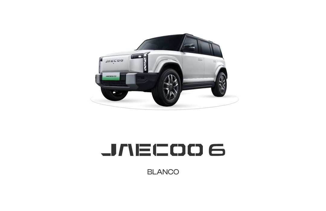 Jaecco 6